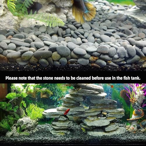 Image of 2.4LB River Rocks Mexican Beach Pebbles for Garden Landscape Stone Paving Stone Grey (1Inch)