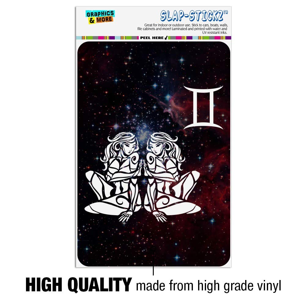 Amazon.com: GRAPHICS & MORE Gemini Twins Zodiac Sign Horoscope in