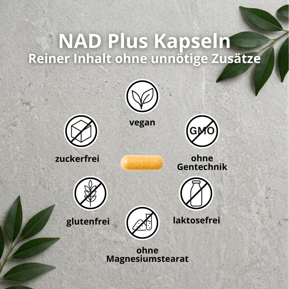 Zell Formel - NAD+ Faktor - NAD Plus Kapseln mit Resveratrol und Nicotinamid - Vegan - 2 Monate Reichweite - laborgeprüft in Deutschland - 60 Kapseln von Naturklar