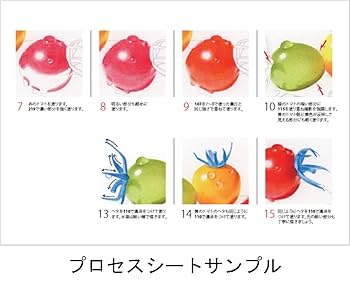 色鉛筆【新品未開封】ファーバーカステル ポリクロモス色鉛筆120色画材アート用品 楽天市場】【送料無料】ファーバー カステル ポリクロモス色鉛筆