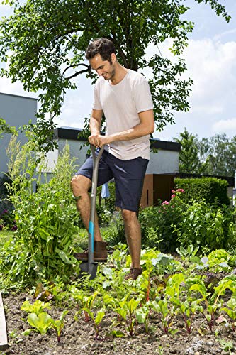 GARDENA NatureLine spade: Tuinspade van kwaliteitsstaal voor omgraven en spitten, stevig voetstuk, steel van FSC… - Image 7