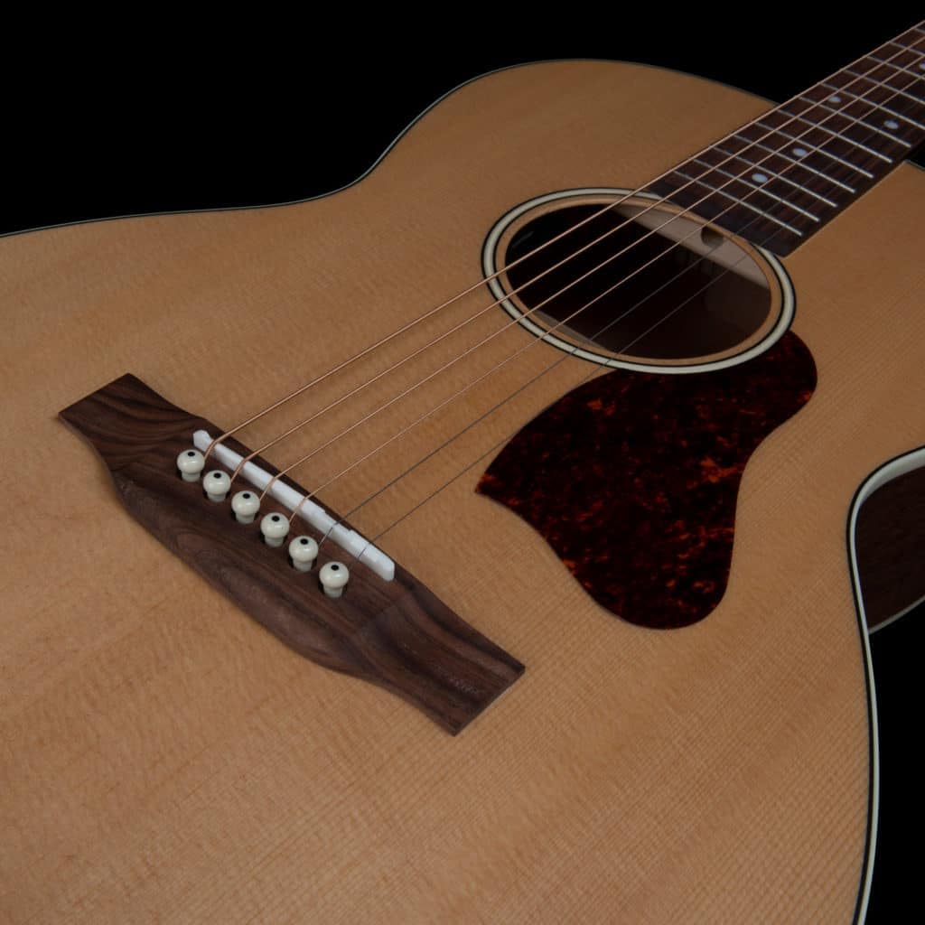 Amazon | Art & Lutherie (アートアンドルシアー) エレアコ