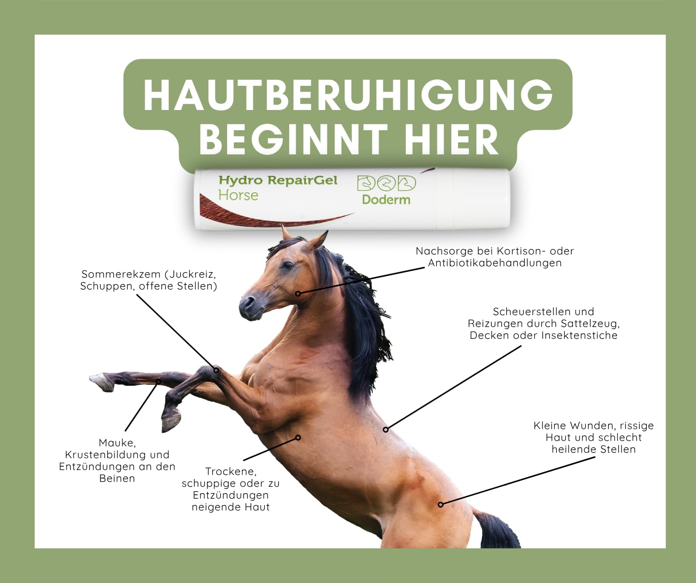 Hydro RepairGel Horse 100 ml - Hautpflegegel für Pferde, 100% natürliche Inhaltsstoffe für empfindliche Pferdehaut