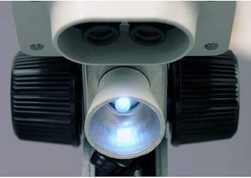 Miniatura 3 de amscope-kids SE100Portable Binocular Microscopio Estéreo, WF10x oculares, 20x Ampliación, fuente de luz de tungsteno, reversible blanconegro etapa