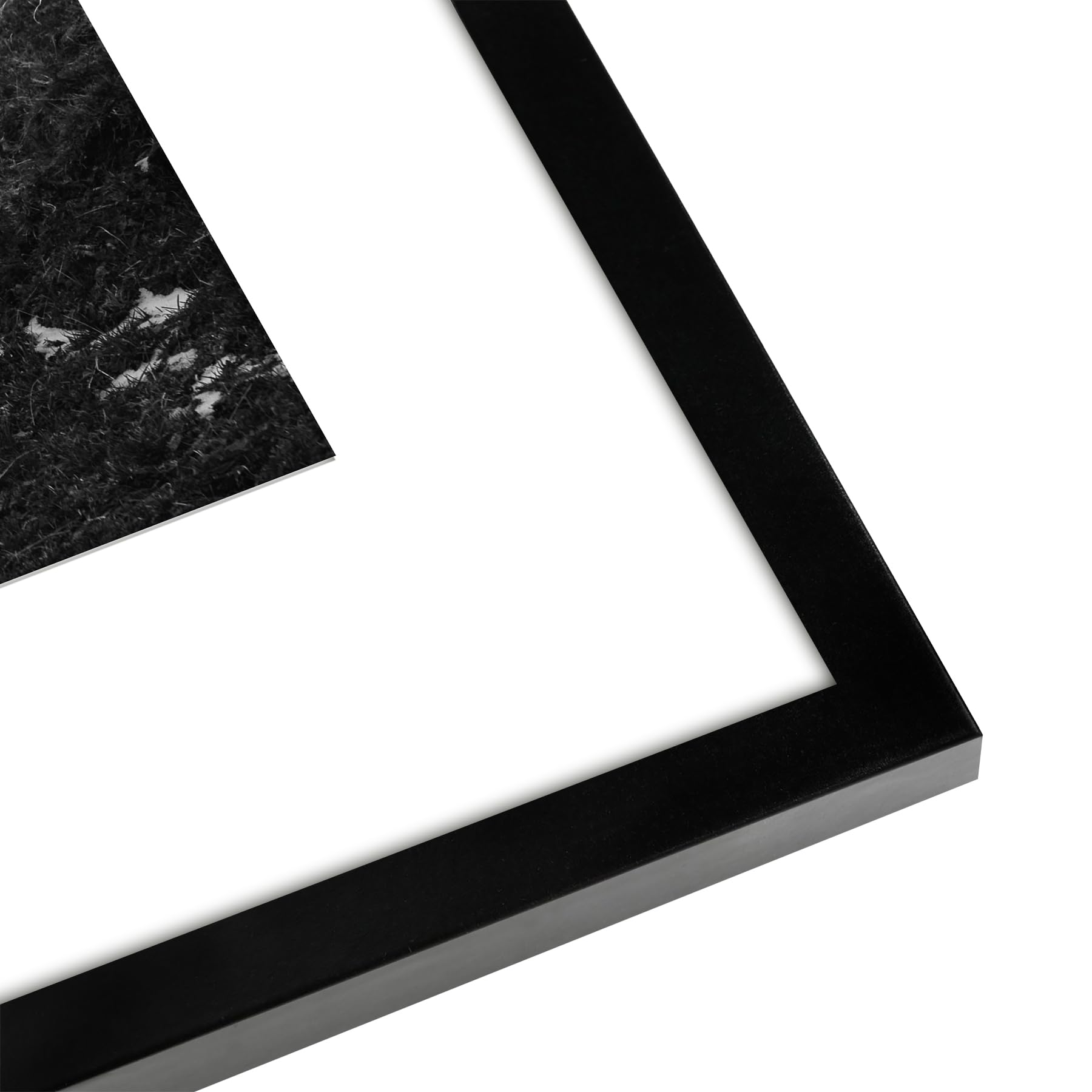 Americanflat Ramka na plakat 16 x 20 w kolorze czarnym, 2 sztuki – jako ramka na zdjęcia 20 x 35 cm z matą – zawiera sprzęt do zawieszania piłek do prezentacji poziomej lub pionowej