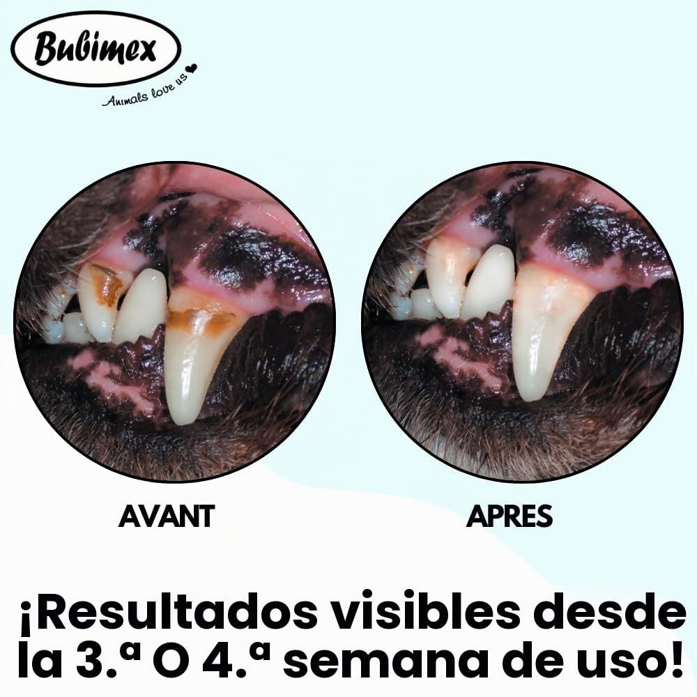 BUBIMEX – Placa Destructor – Higiene bucal para Perro y Gato – Combate la Placa Dental y el Mal Aliento – Fórmula orgánica a Base de Alga marrón 100% – 160 g