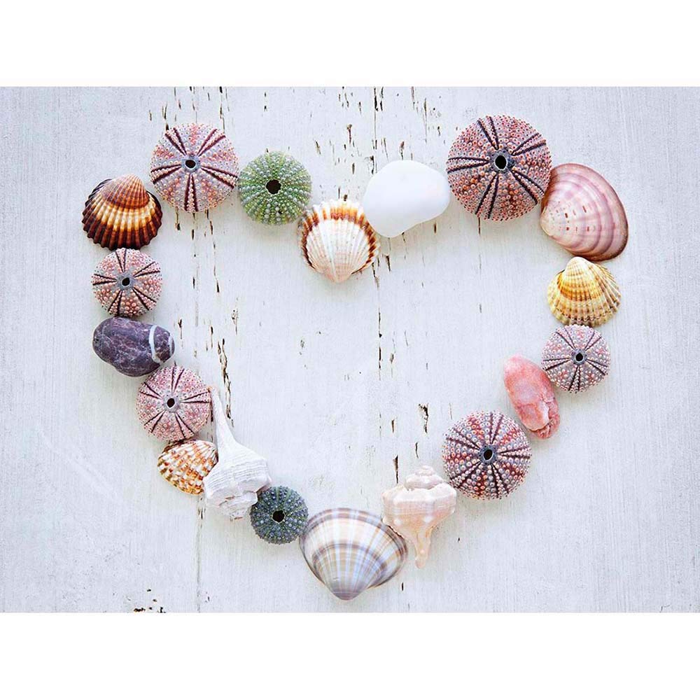 Wee Blue Coo Heart Seashells Rocks Wood Beach Love Maritime Art Print Poster Wall Decor 12X16 Inch