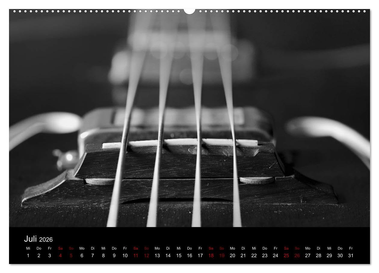 Regelwerke - Details alter E-Gitarren (hochwertiger Premium Wandkalender 2026 DIN A2 quer), Kunstdruck in Hochglanz: Alte E-Gitarrendetails eindrucksvoll in s/w fotografiert (CALVENDO Kunst)