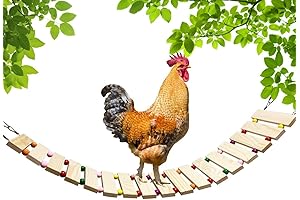 Chicken Coop Toys Natural Wood Chicken Ladder & Nesting Swing