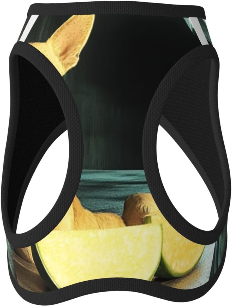 Cute Chihuahua Pet Vest Small Size Dog Harness and Leash Set for Training, Reflective & Adjustable with Accessories Small