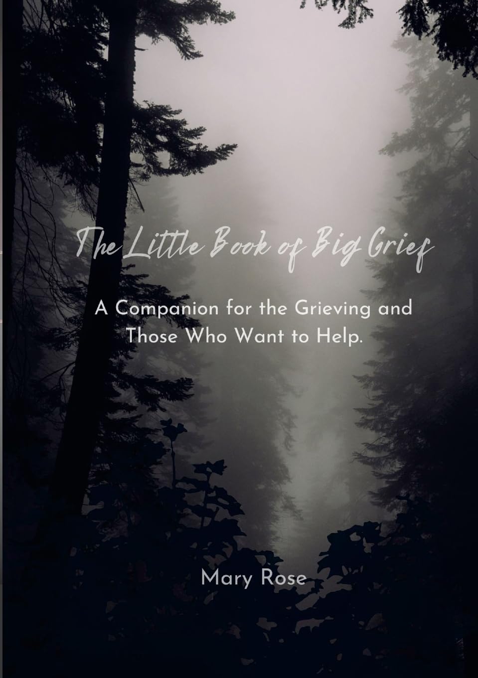 The Little Book of Big Grief: A Companion for the Grieving and Those Who Want to Help.