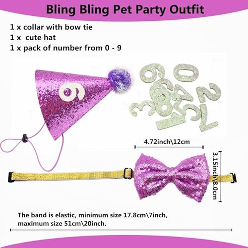 Idolpet Dog Cat Birthday Party Hat Supplies Dog Cat Girl Boy Birthday Outfit Party Hat With Cute Bow Tie For Medium And Dogs Breeds Cats Dog Wedding Collar Outfit… #TOP2