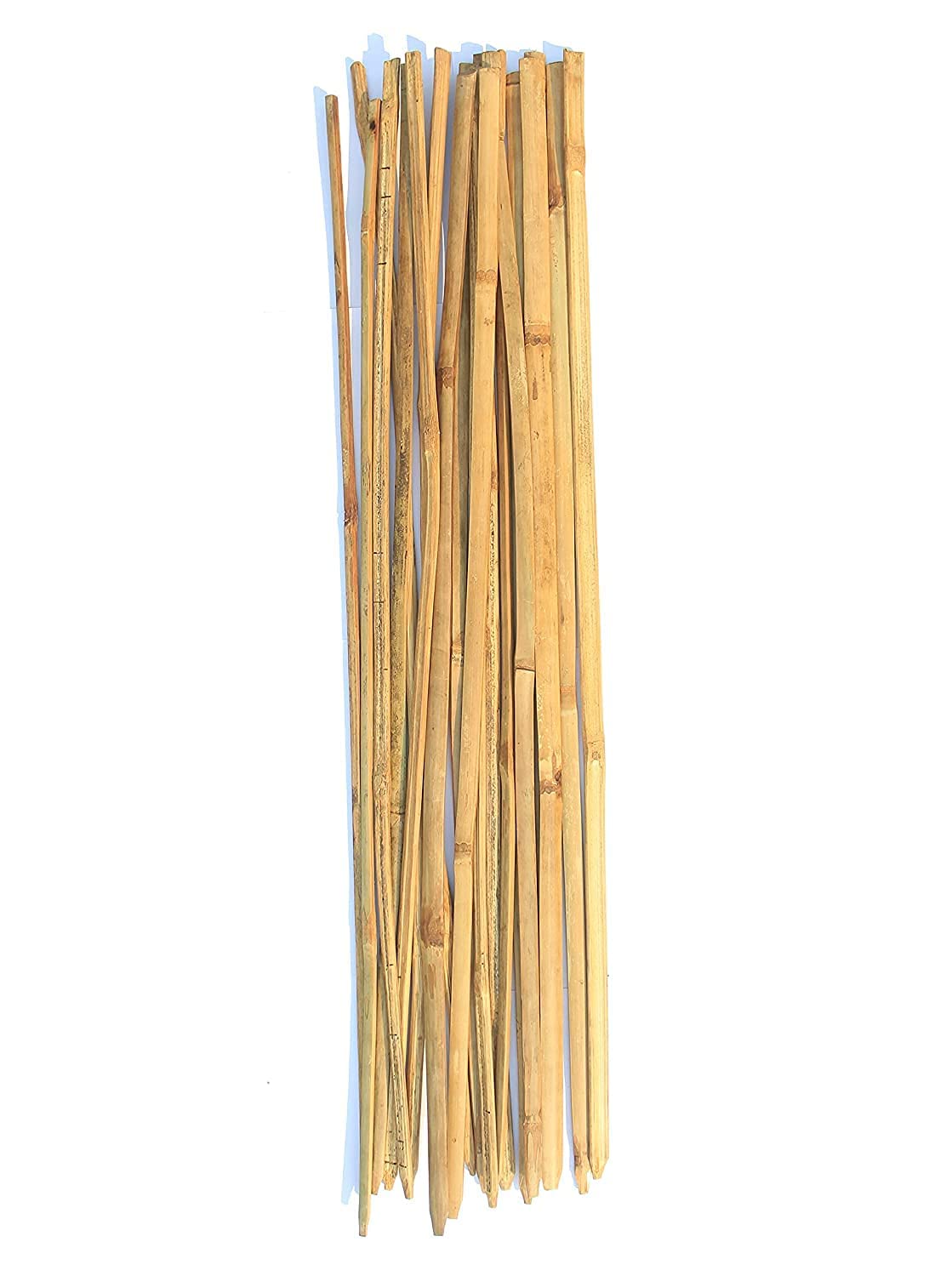 Plants Supporter Sticks 3 feet Long Sticks (11 Sticks)-image-39