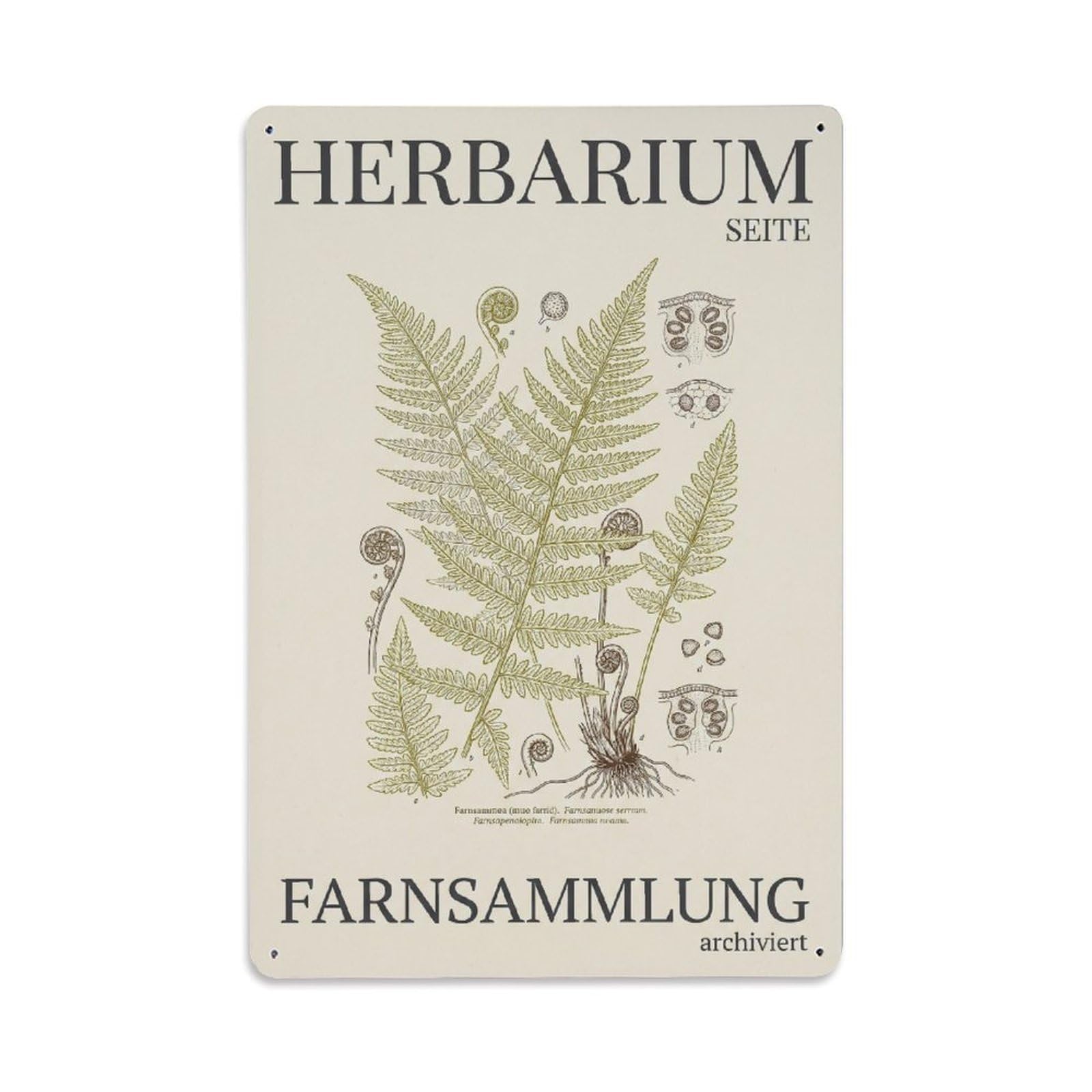 Vintage Funny Garden Herbarium Page Rustic Gate Organic Metal Tin Sign