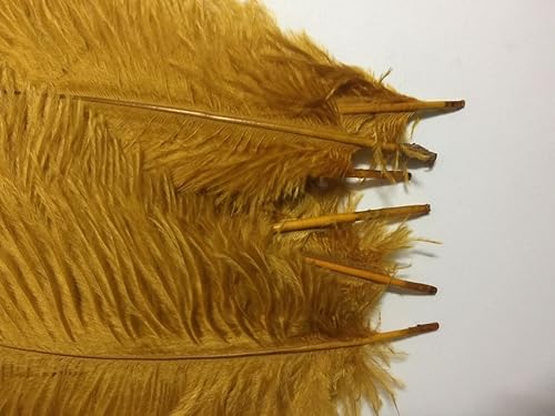 Miniatura 5 de KOLIGHT 10 plumas de avestruz naturales teñidas para bricolaje, hogar, boda, fiesta, oficina, decoración (12  14 pulgadas, dorado)