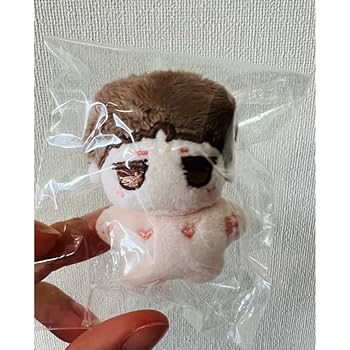 Amazon.co.jp: 5cm ぬいぐるみ 王一博 肖戦 瑣儿 琑儿 bjyx 博君
