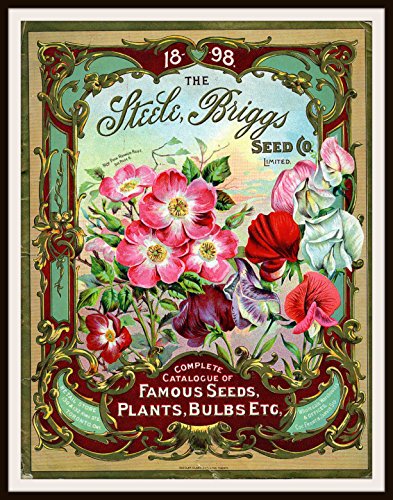 Best Seed Catalogs
