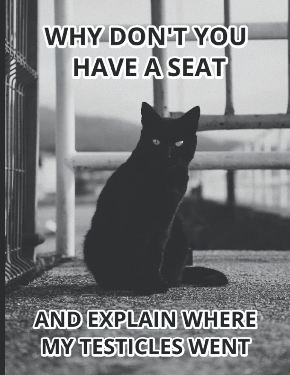 Amazon | BLACK CAT MEME: Cat Notebook For Adults. College Ruled