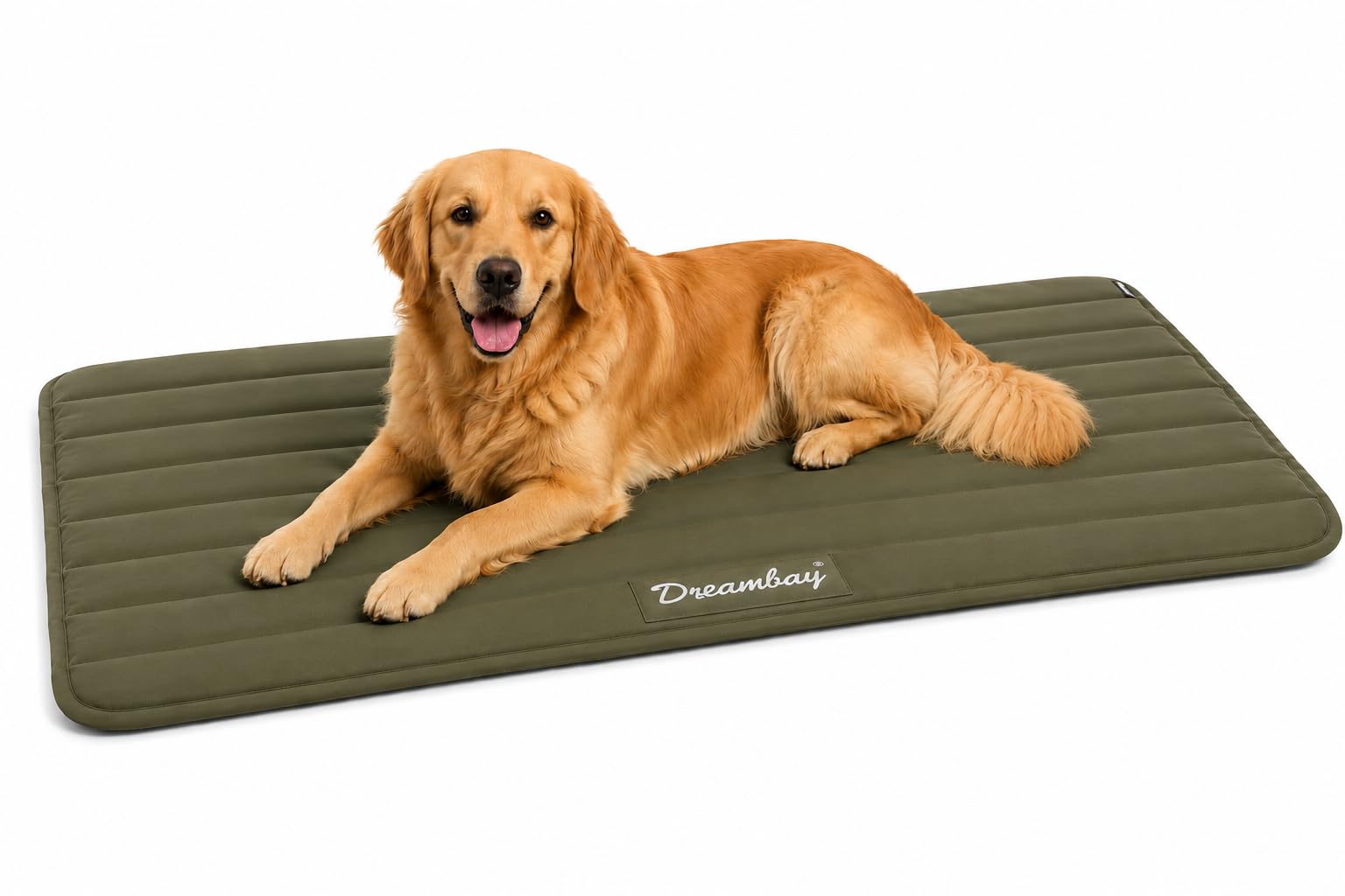 Panier Chien Dreambay® XXL en mousse orthopédique pour caisse de transport