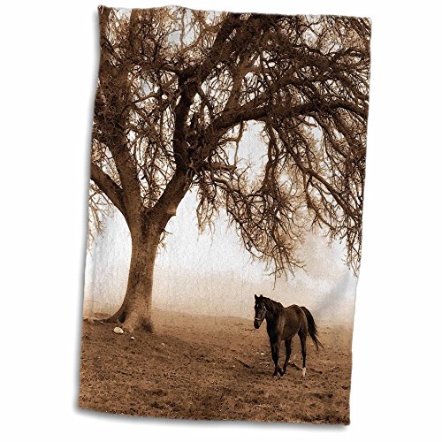 3D Rose Western Sepia Toned Horse on a Ranch with an Oak Tree TWL_202972_1 Towel, 15" x 22", Multicolor