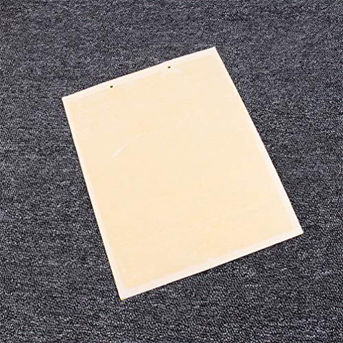 Yardwe 30Pcs Placas de Cola De Insetos Armadilhas de Cola de Insetos Armadilhas da Mosca Armadilhas