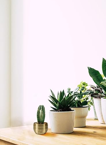 Miniatura 4 de Serene Spaces Living Juego de 12 cuencos de aluminio grabados en oro portavelas flotantes florero decorativo popurrí captura para entrada centro de