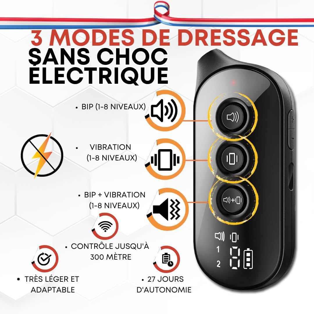 Télécommande et détails Collier dressage chien