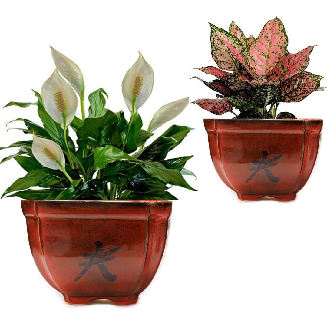 See full amazon price history chart for PLANTORI Ceramic Planters for Indoor and Outdoor Plants-2 Sets of Big Size Pots with Drainage Holes for Bonsai, Artificial Flowers, Succulents, Home, Garden, Balcony and Office Décor (Maroon Red) PLANTORI Ceramic Planters for Indoor and Outdoor Plants-2 Sets of Big Size Pots with Drainage Holes for Bonsai, Artificial Flowers, Succulents, Home, Garden, Balcony and Office Décor (Maroon Red) (B0B4PFPQ4L) Amazon Price History, Amazon Price Tracker