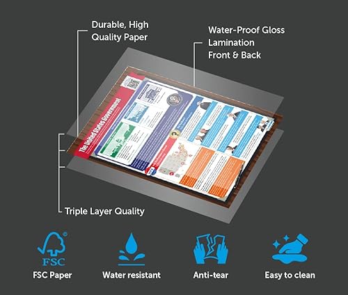 Miniatura 8 de Pósters de Presidentes y Gobierno de Estados Unidos, juego de 2, carteles laminados de historia estadounidense con cuestionario interactivo