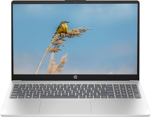 HP 15.5" FHD IPS Pantalla táctil Laptop, Procesador Intel Core 5 120U hasta 5GHz, 8GB RAM, 512GB SSD, HDMI, WiFi 6 súper rápido, Windows 11, Plata pastel, Renovado
