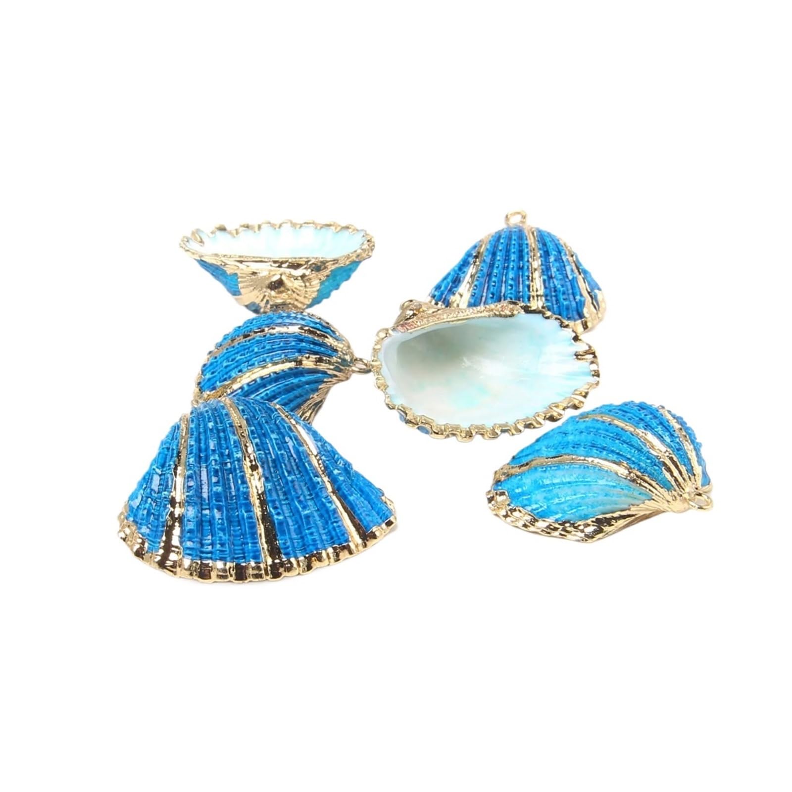 8pcs Colorful Shell Charms Conch Seashell Scallop Cowrie Pendant For Necklace Jewelry Making Craft(Blue)