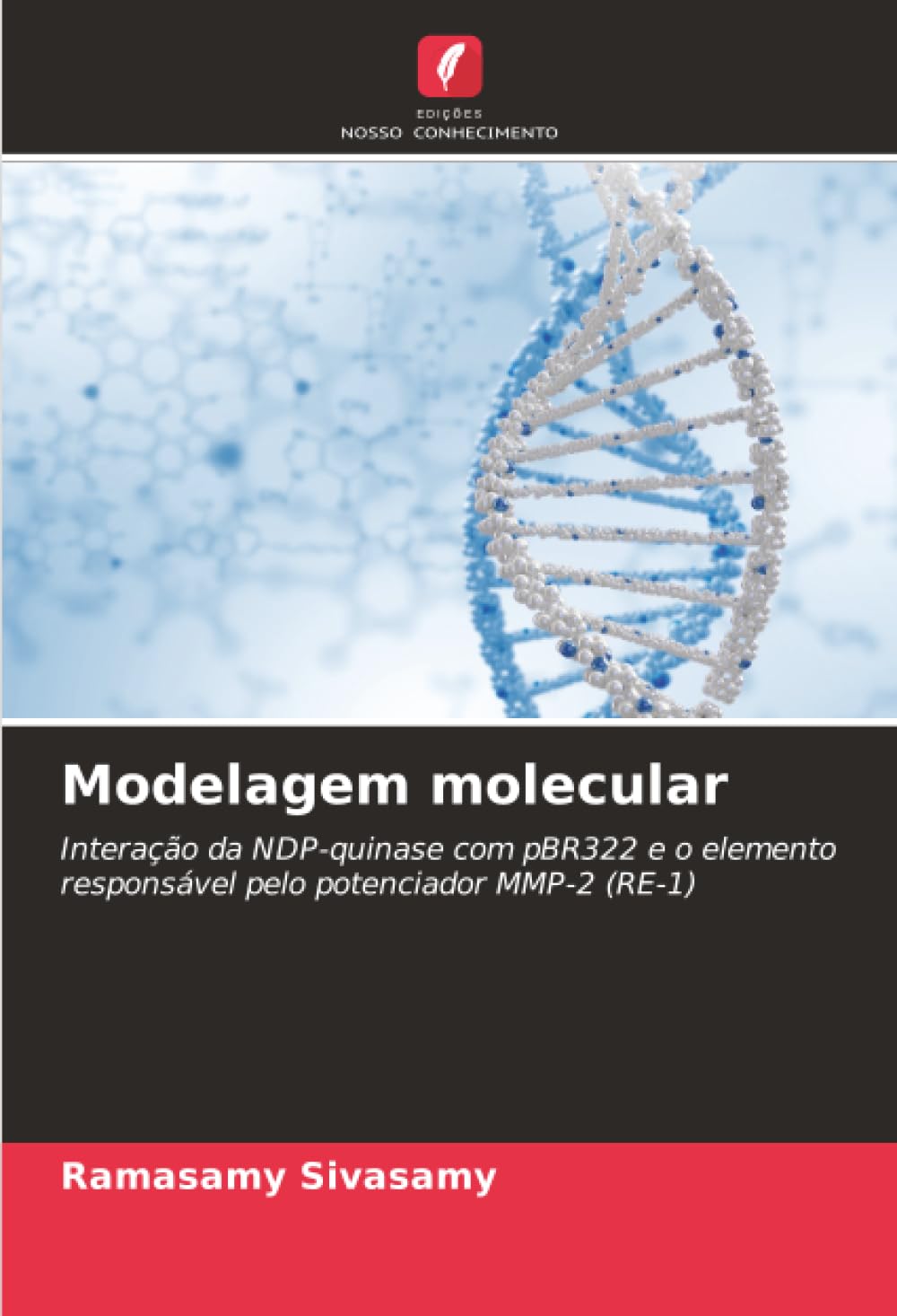 Modelagem molecular: Interação da NDP-quinase com pBR322 e o elemento responsável pelo potenciador MMP-2 (RE-1)