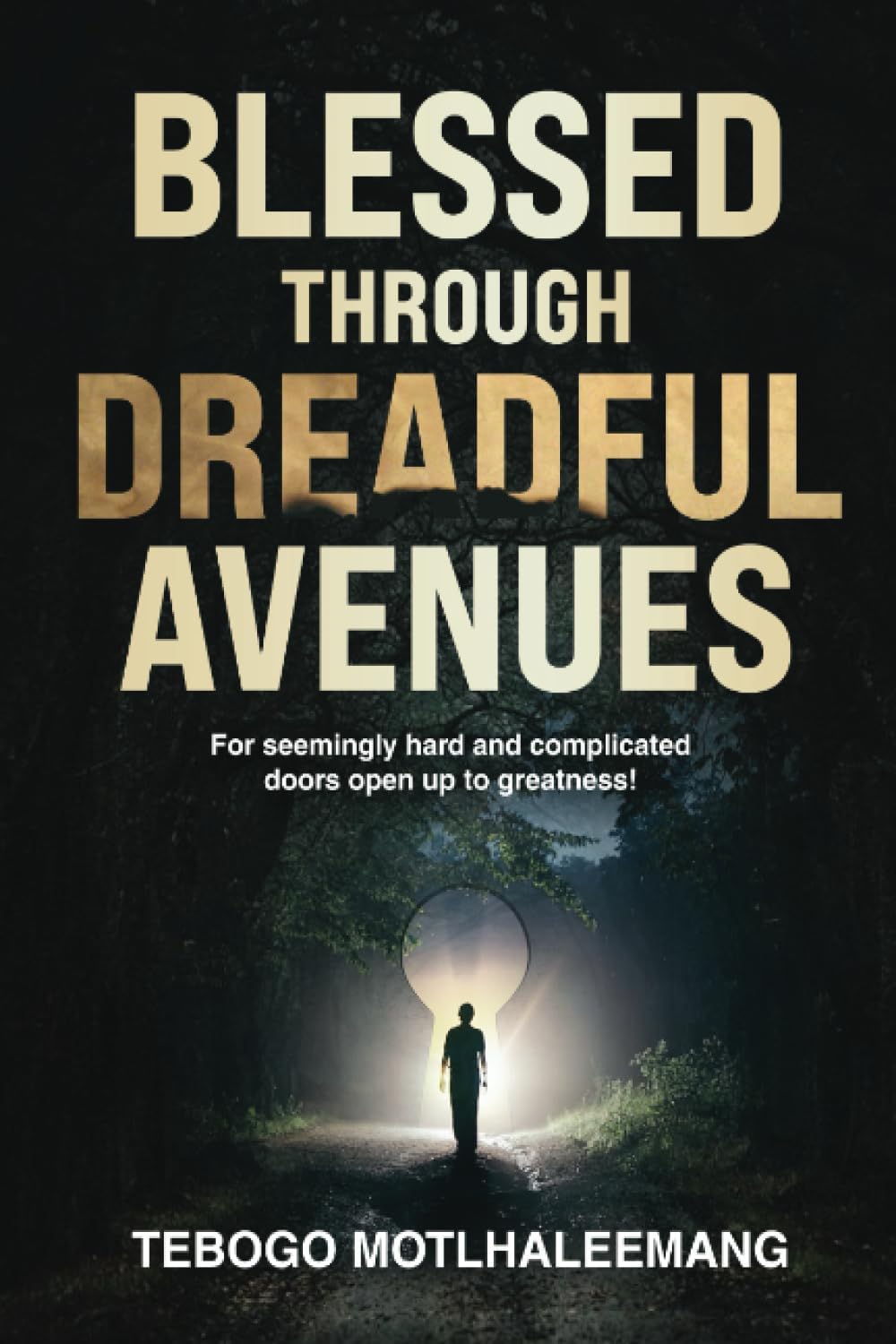 Independently published BLESSED THROUGH DREADFUL AVENUES