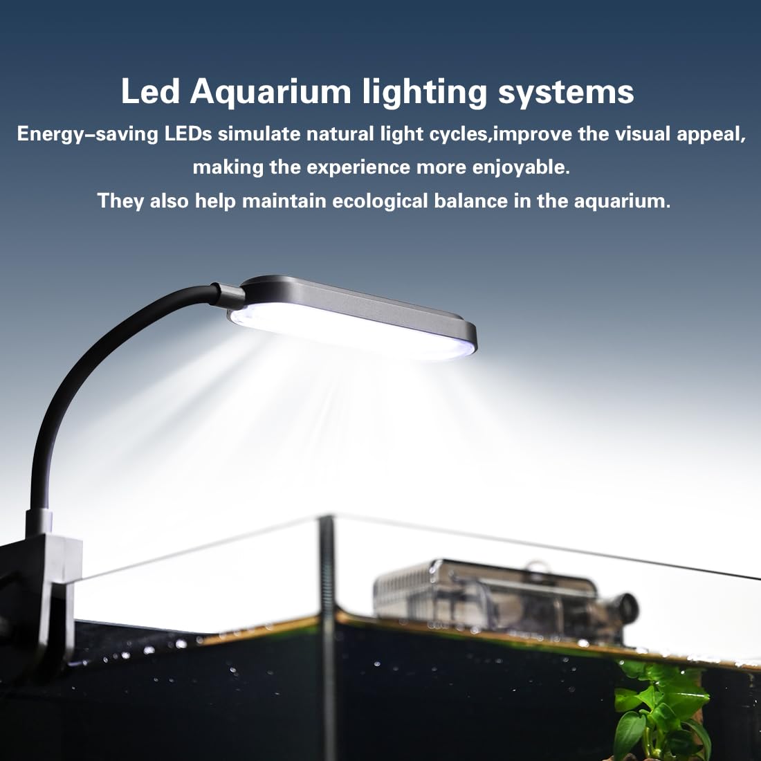 Betta - Tanque de peces, kit de iniciación de acuario, kit de pecera de 2.8 galones, acuario pequeño, acuario pequeño, nano acuario ultra transparente con luz, filtro, adoquines, arena y plantas