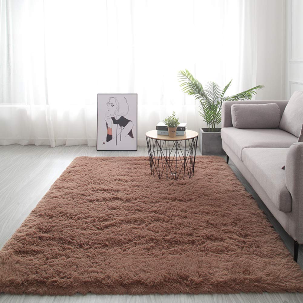 VBGHB Ultra Soft Fluffy Area Rug, for Decor Kitchen Dormitory Cozy and Comfy Carpet, Luxury Shaggy Rug Floor Mat-u 140x200cm(55x79inch)