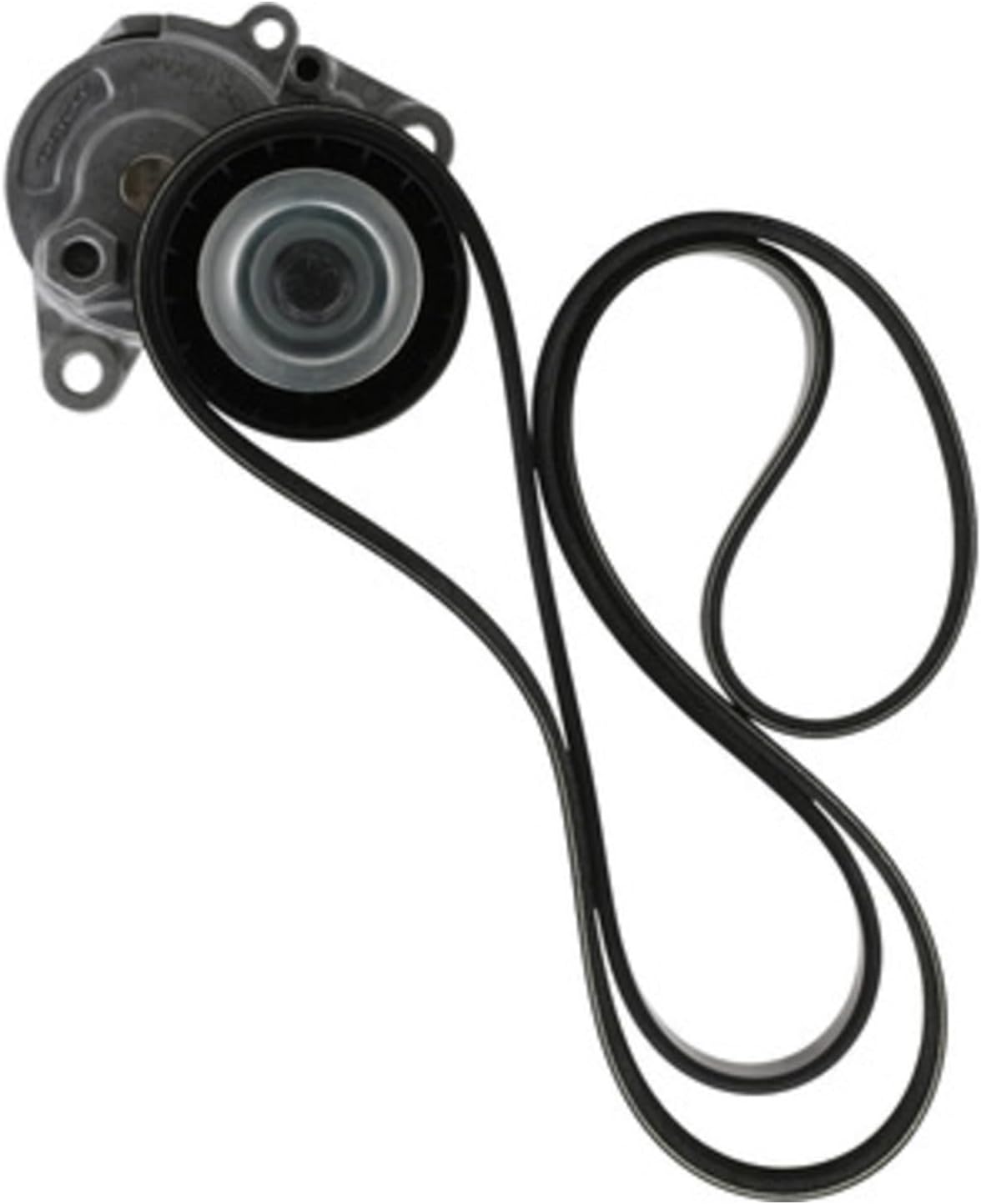 DAYCO A060563K1 Serpentine Belt