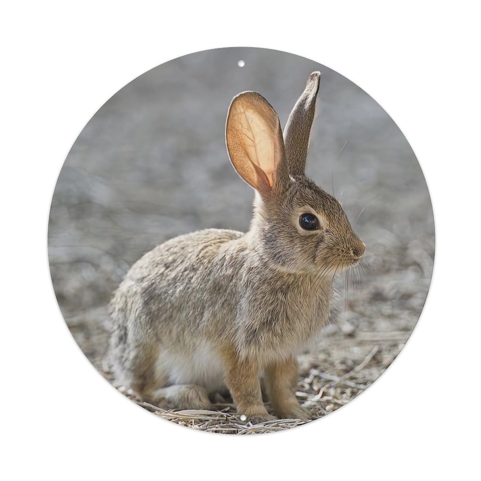 Desert Cottontail Rabbit Animal Vintage Metal Tin Sign Plaque Wall Decor for Cafe, Club Bar, Office, Garden Metal Poster 8x8Inch