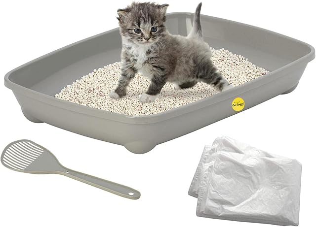 Grey Kitten Starter Pack Kit Set Small Cat Open Litter Tray + Scoop + 3x Liners Bags CatCentre®