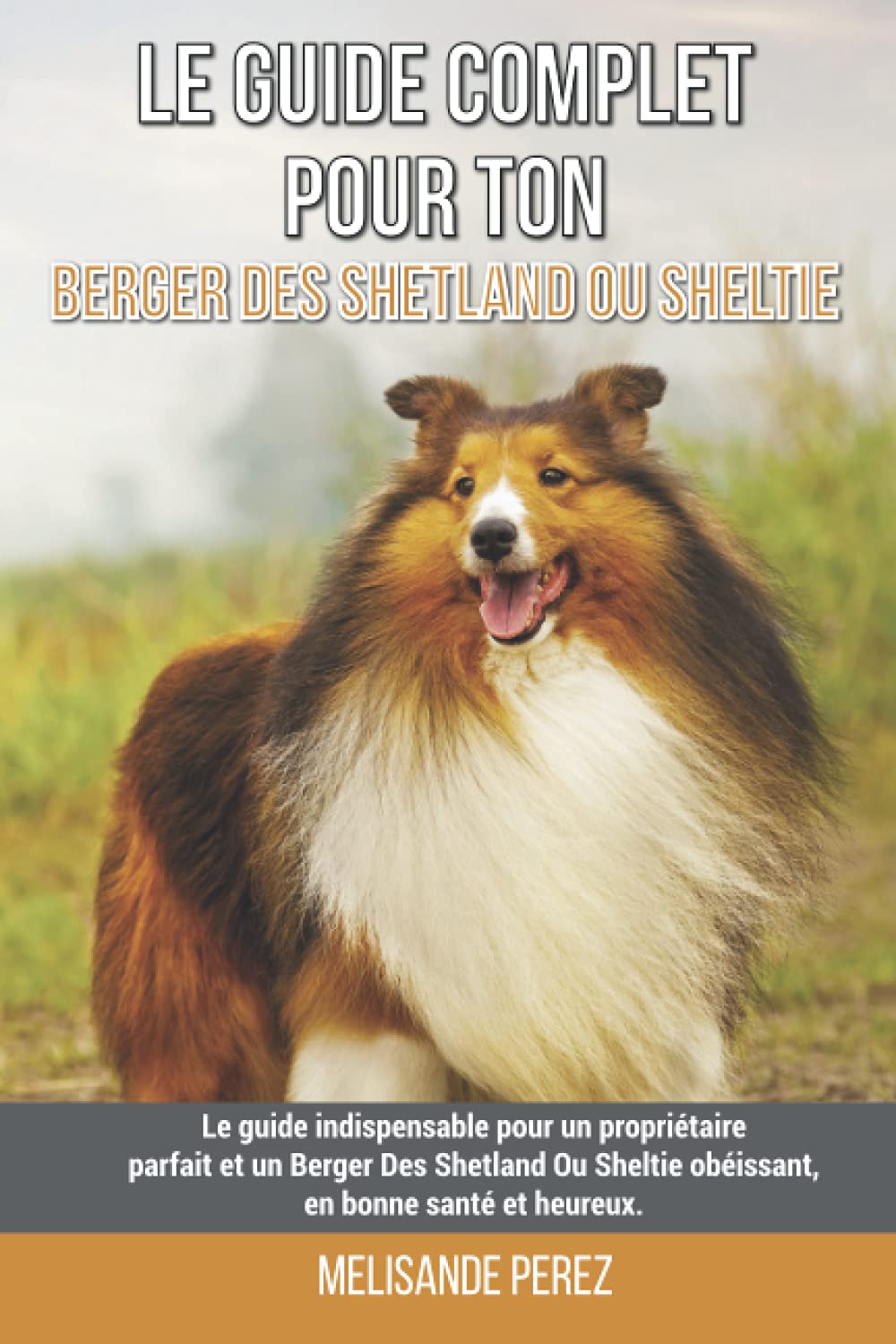 Le guide complet pour ton Berger Des Shetland Ou Sheltie: Le guide indispensable pour un propriétaire parfait et un Berger Des Shetland Ou Sheltie obéissant, en bonne santé et heureux.