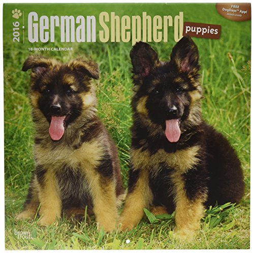 german shepherd dog puppy buy online