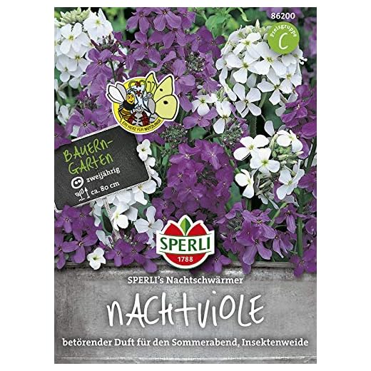 Sperli Blumensamen Nachtviole Nachtschwärmer, grün