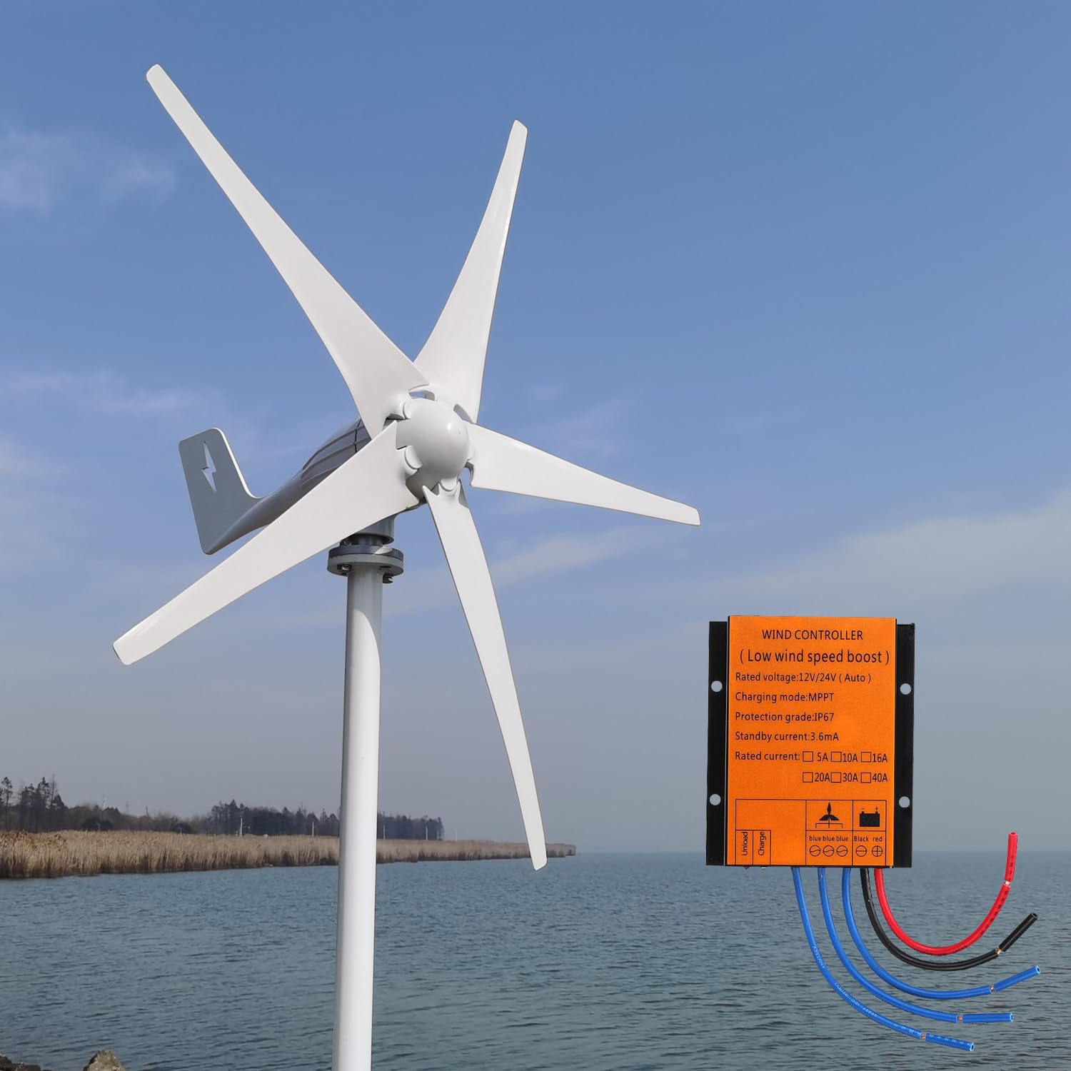 600W aerogenerador 12V/24V/48V 5-pala de alto rendimiento turbina eólica MPPT controlador de carga Horizontal sistema de energía eólica para el hogar y la granja (12, Voltios)