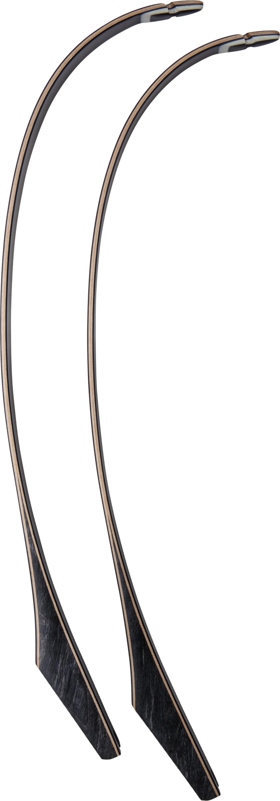 Bear Archery Take Down Limb #1 50th 60# Maple B/W Tips