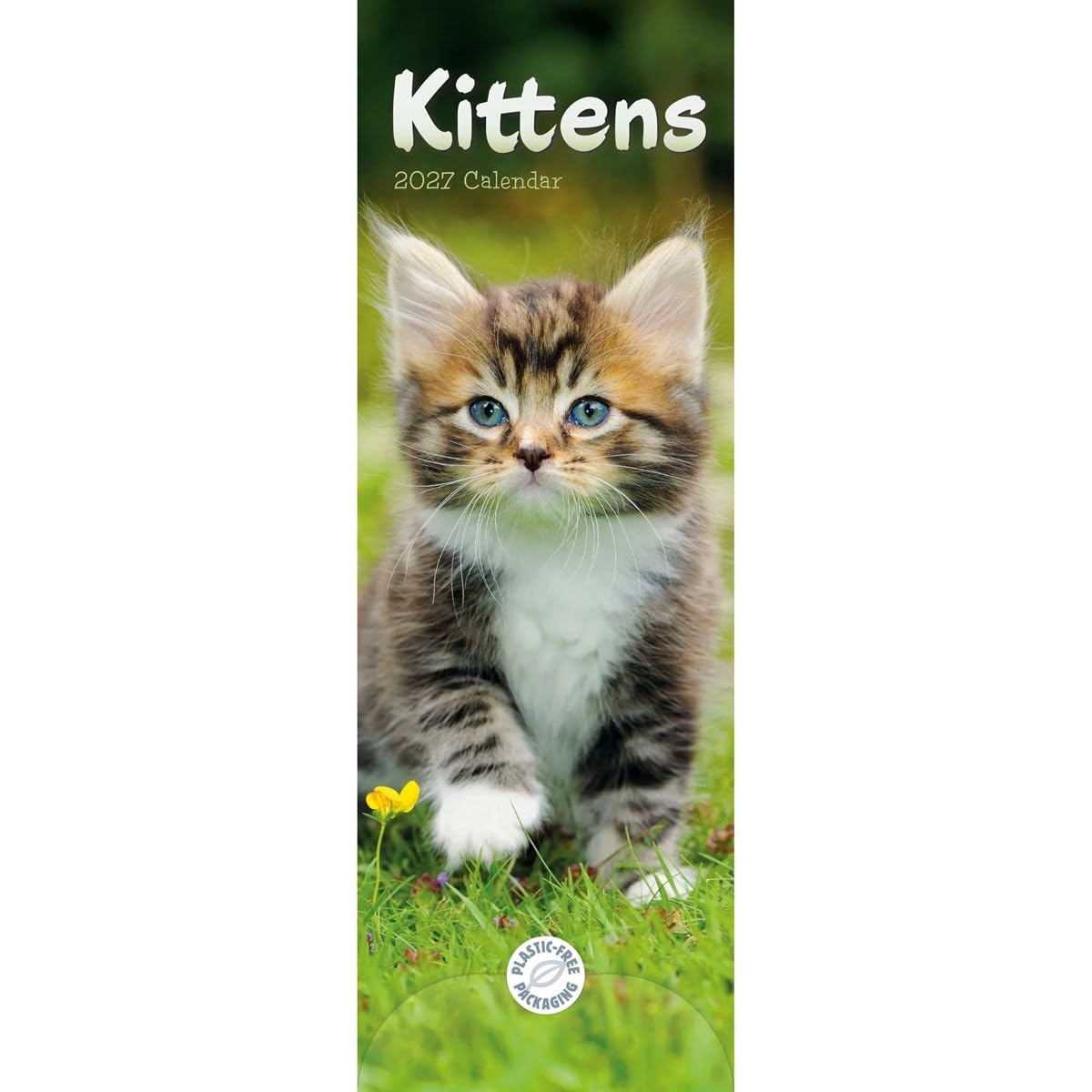 Carousel Worldwide Kittens 2027 Slim Wall Calendar, 12-Month Calendar, Adorable Kitten Photography