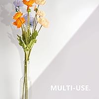 Vista 6 de DHSBTLS Paquete de 12 botellas de vidrio transparente de 500 ml/16 oz con tapas de corcho de madera y sellos de encogimiento, botellas