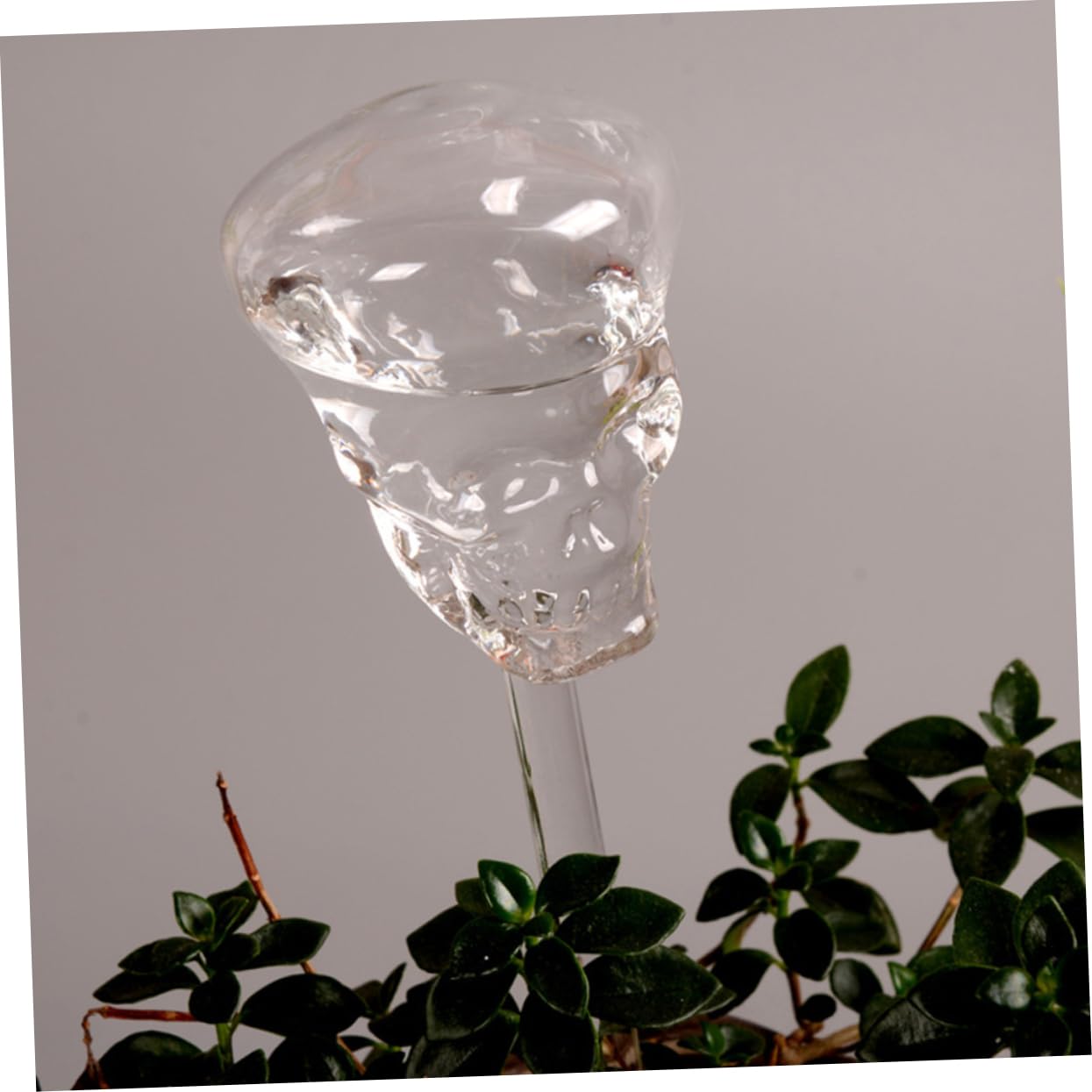 Abaodam 3 Pièces arrosage Automatique en Verre jardinières à arrosage Automatique Usine soi - Jardinière crâne - Décoration Plantes dispositifs d'arrosage des Plantes s'arroser