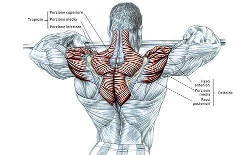 Il Metodo Delavier Per La Muscolazione. 200 Esercizi E 50 Programmi - 2