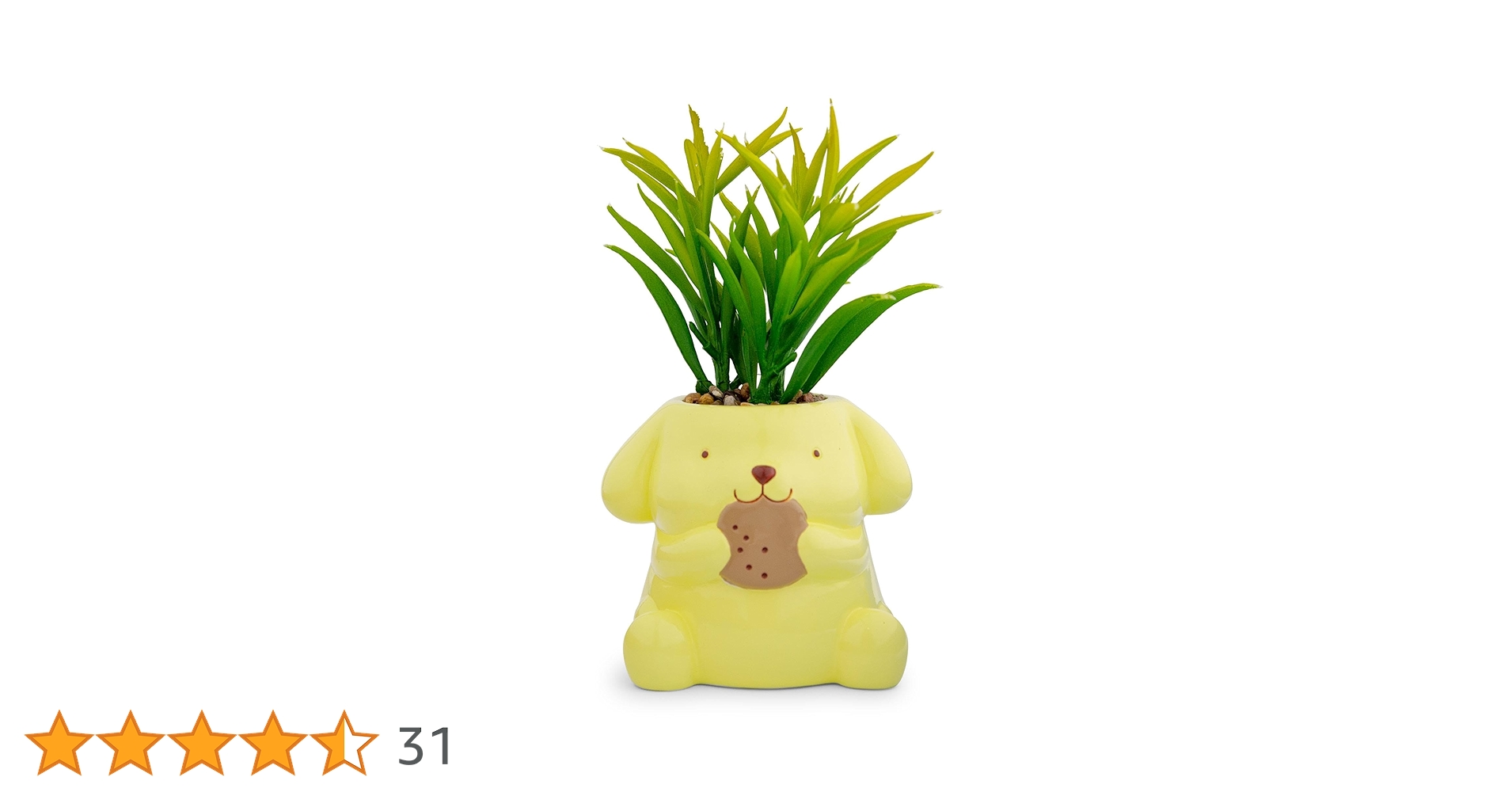 61TrvnwIpFL.jpg_BO30,255,255,