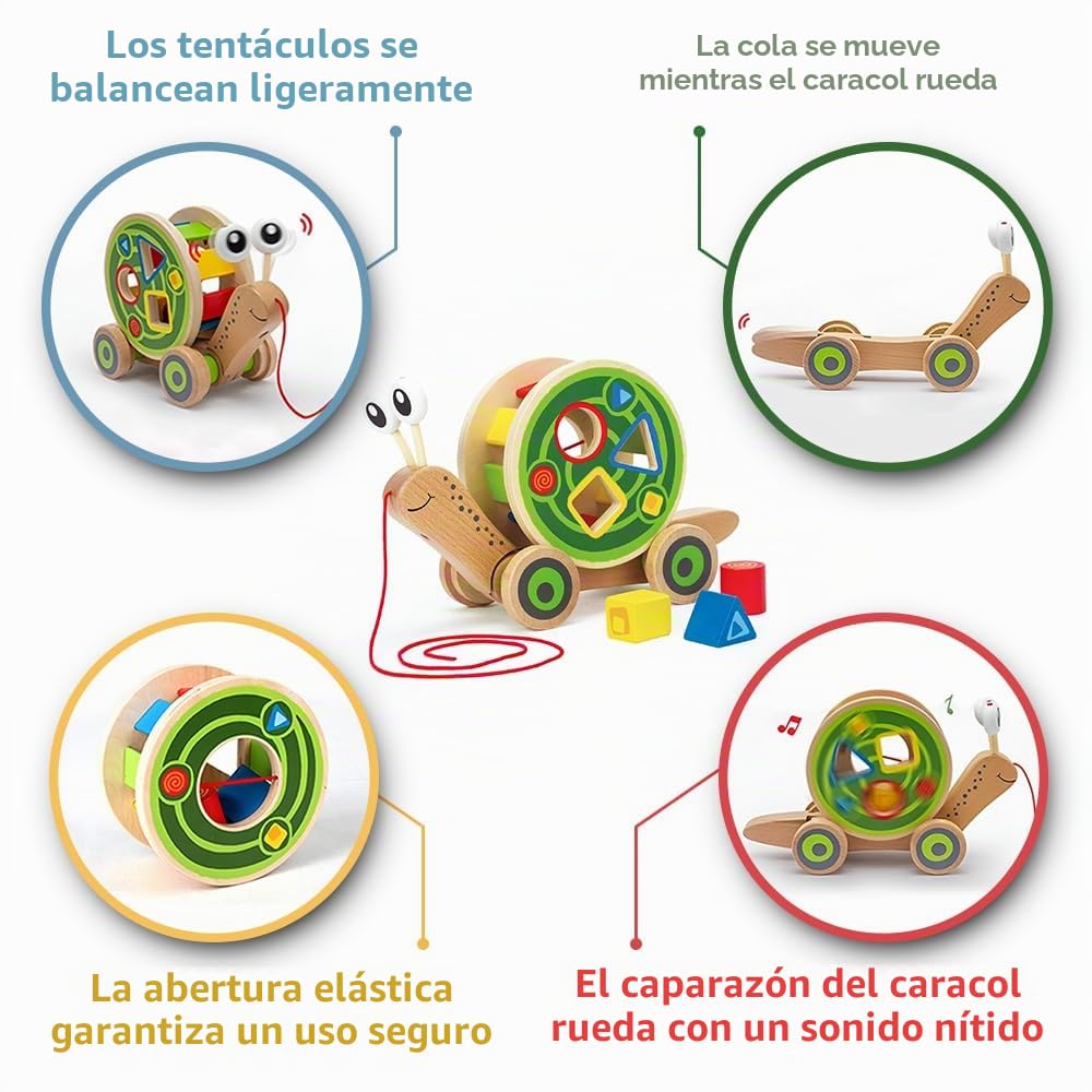 Hape Caracol Clasificador de Formas, Arrástrame y Juega - Juguete de Madera para Niños, Caracol con Ruedas, 12 Meses+