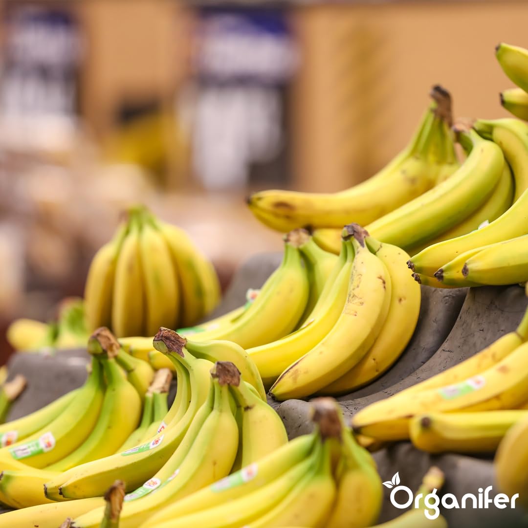 Fertilizante Líquido Para Banano - 3x1L - NPK 2-1-8 | Fertilizante Para Plantas Robustas Y Hojas Sanas - Favorece Raíces Y Vitalidad - Organifer